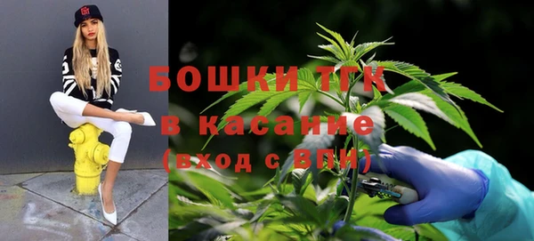 гидра Володарск