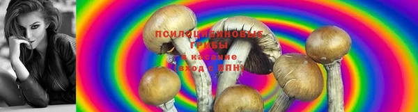 mix Елизово