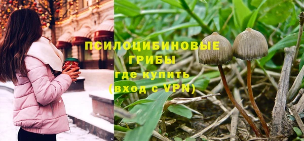 бошки Елабуга