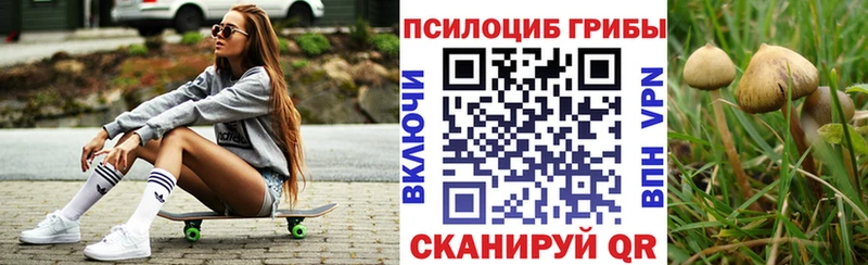 Псилоцибиновые грибы мицелий  OMG ТОР  Семилуки 