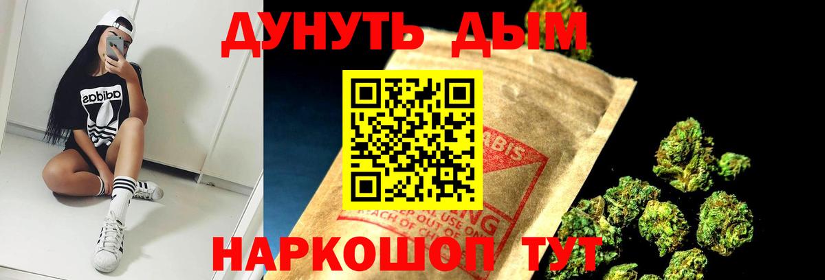 Канабис сатива  Семилуки  Каннабис Amnesia 